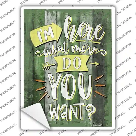What More Do You Want Novelty Rectangular Sticker Decal