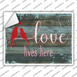 Love Lives Here Novelty Rectangular Sticker Decal