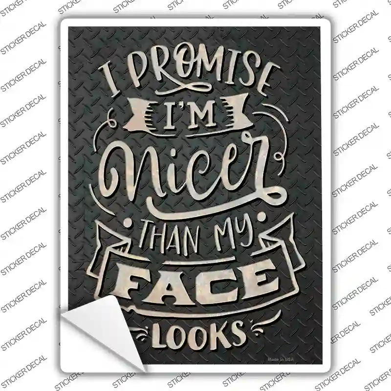 Nicer Than My Face Looks Novelty Rectangle Sticker Decal