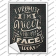 Nicer Than My Face Looks Novelty Rectangle Sticker Decal