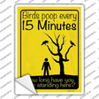 Birds Poop Every 15 Minutes Novelty Rectangle Sticker Decal