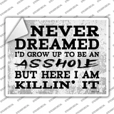 Asshole But Here I Am Novelty Rectangle Sticker Decal