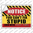 Cant Fix Stupid Even With Duct Tape Novelty Rectangle Sticker Decal