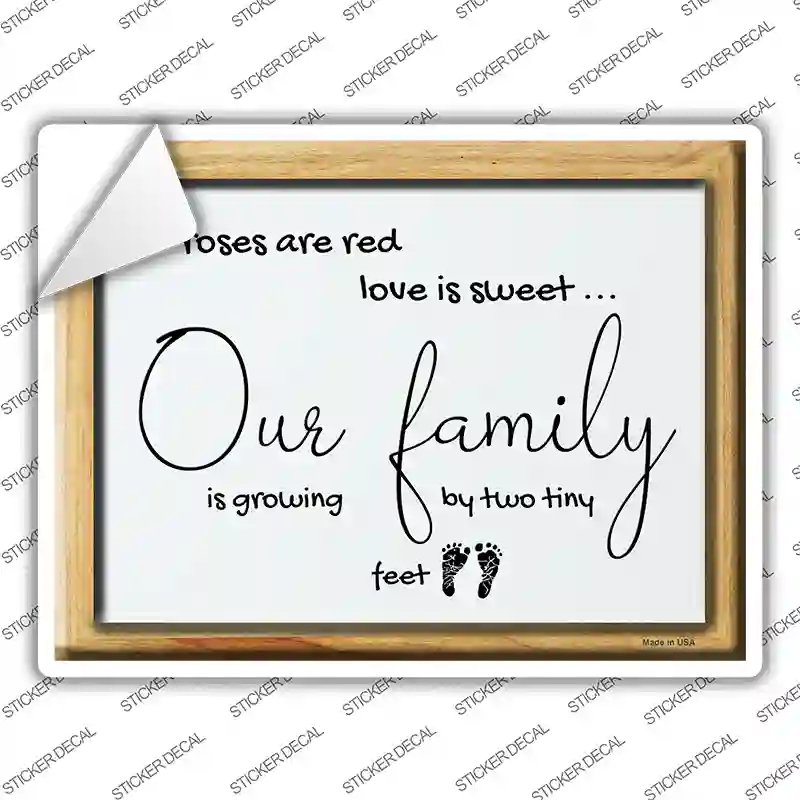 Family Is Growing By Two Tiny Feet Novelty Rectangle Sticker Decal