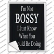 I Know What You Should Be Doing Novelty Rectangle Sticker Decal