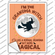 Im the Grandma Witch Novelty Rectangle Sticker Decal