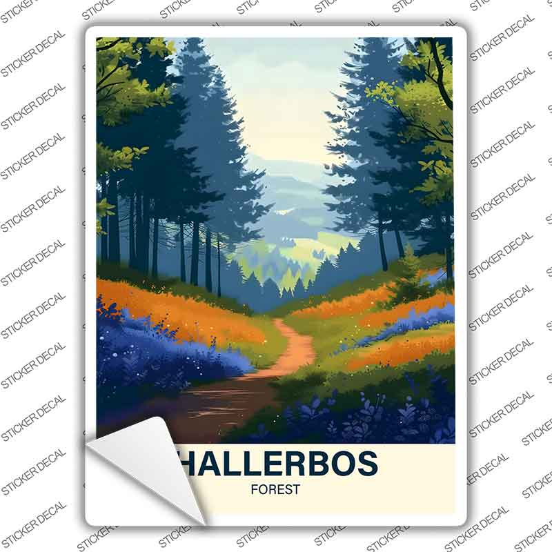 Hallerbos Forest Novelty Rectangle Sticker Decal P-4565s