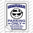 Lower Rider Parking Novelty Rectangle Sticker Decal