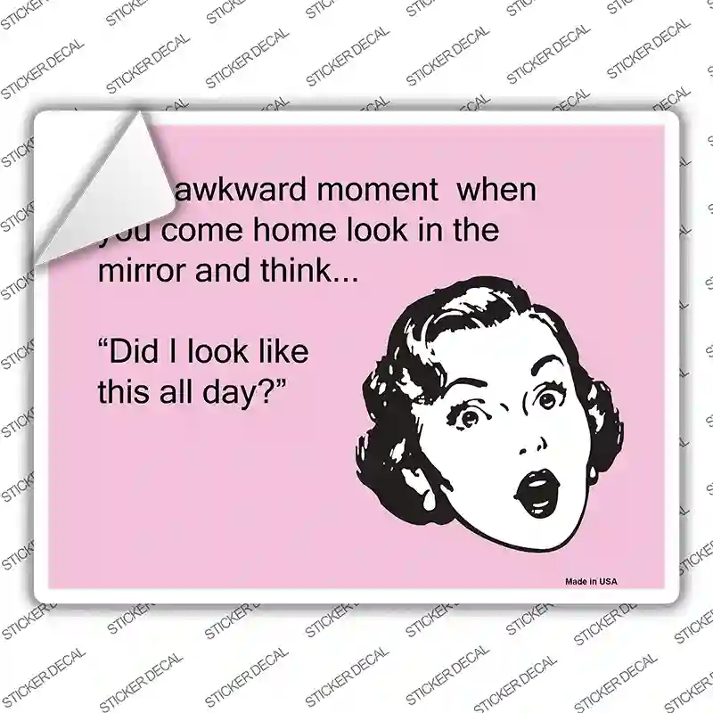 Did I look like that all day Novelty Rectangle Sticker Decal