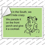 Here in the south, we dont hide crazy Novelty Rectangle Sticker Decal