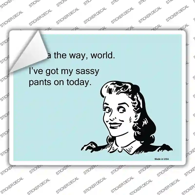 Ive Got My Sassy Pants Novelty Rectangle Sticker Decal