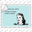 Ive Got My Sassy Pants Novelty Rectangle Sticker Decal