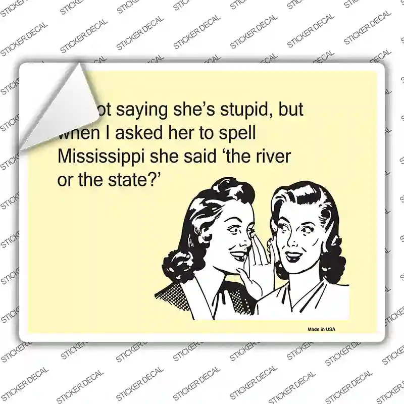 Im Not Saying Shes Stupid Novelty Rectangle Sticker Decal