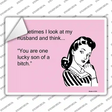 Sometimes I look At My Husband Novelty Rectangle Sticker Decal