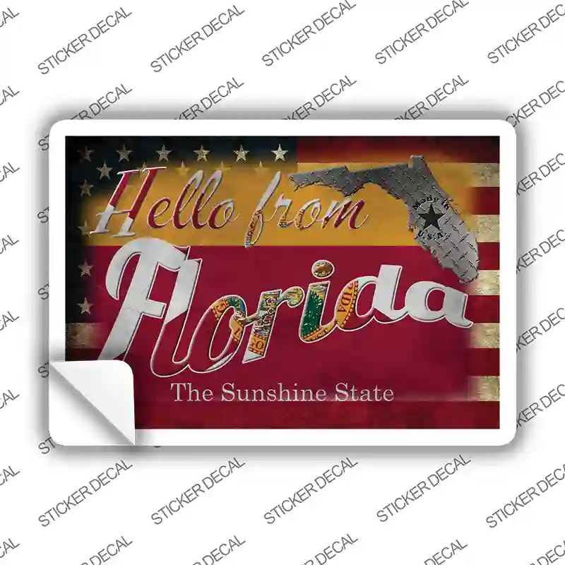 Hello From Florida Novelty Postcard Sticker Decals
