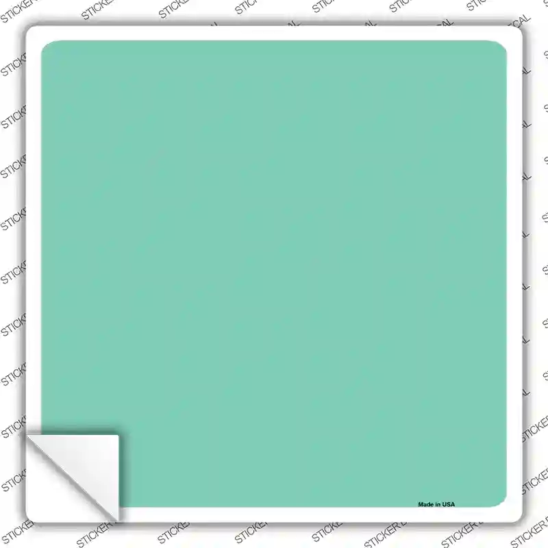 Mint Solid Novelty Square Sticker Decal