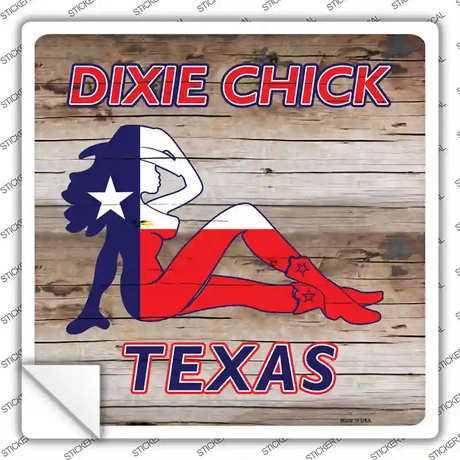 Dixie Chicks Texas Novelty Square Sticker Decal