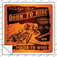 Born To Ride Novelty Square Sticker Decal