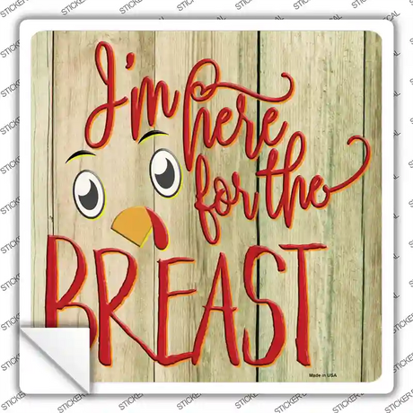 Im Here for the Breast Novelty Square Sticker Decal