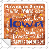 Iowa Motto Novelty Square Sticker Decal