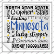 Minnesota Motto Novelty Square Sticker Decal