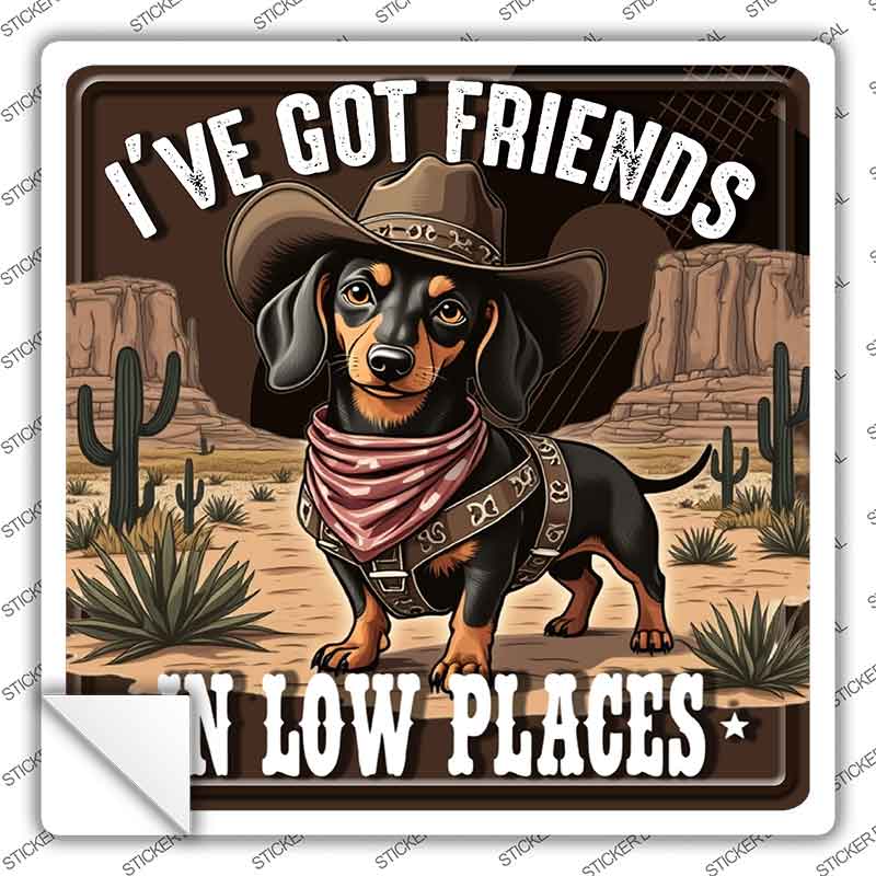 Ive Got Friends In Low Places Novelty Square Sticker Decal SQ-1702s