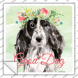 Black Cocker Spaniel Good Dog Novelty Square Sticker Decal