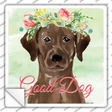 Brown Lab Good Dog Novelty Square Sticker Decal