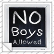 No Boys Allowed Novelty Square Sticker Decal