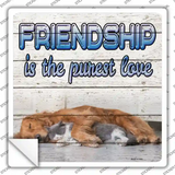 Pet Friendship Novelty Square Sticker Decal