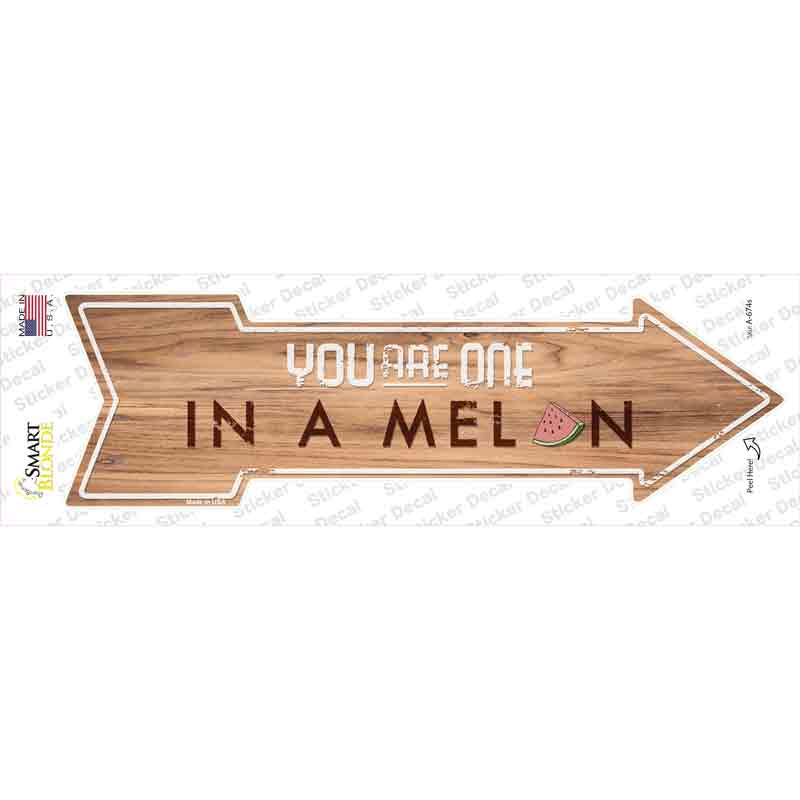 One in a Melon Novelty Arrow Sticker Decal