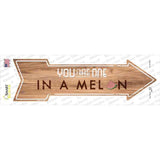 One in a Melon Novelty Arrow Sticker Decal
