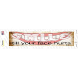 Smile Face Hurts Novelty Narrow Sticker Decal