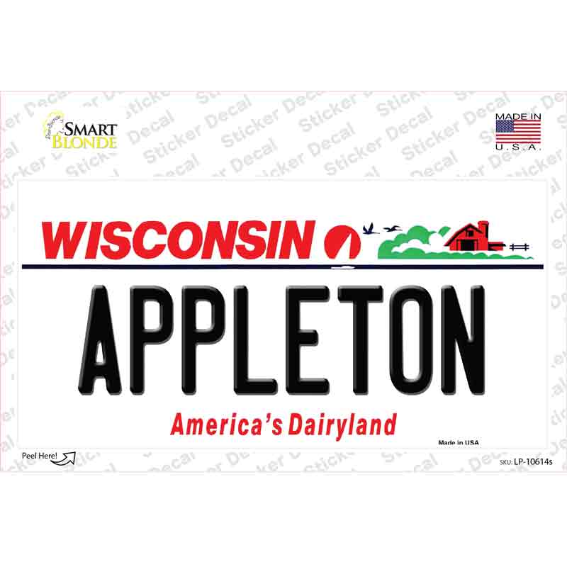 Appleton Wisconsin Novelty Sticker Decal
