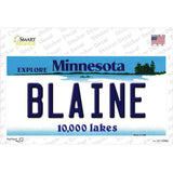 Blaine Minnesota State Novelty Sticker Decal