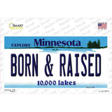 Born and Raised Minnesota State Novelty Sticker Decal