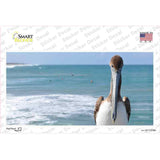 Pelican Ocean Novelty Sticker Decal