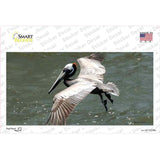 Pelican In Flight Novelty Sticker Decal