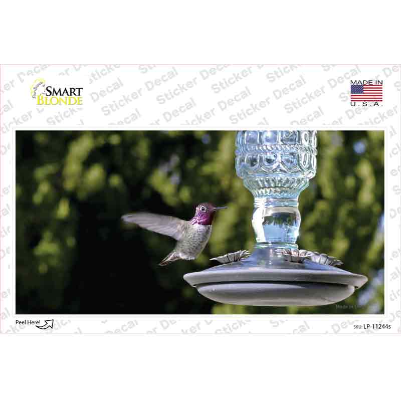 Hummingbird At Feeder Novelty Sticker Decal