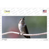 Hummingbird Perched On Branch Novelty Sticker Decal
