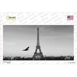 Eiffel Tower Black and White With Bird Novelty Sticker Decal