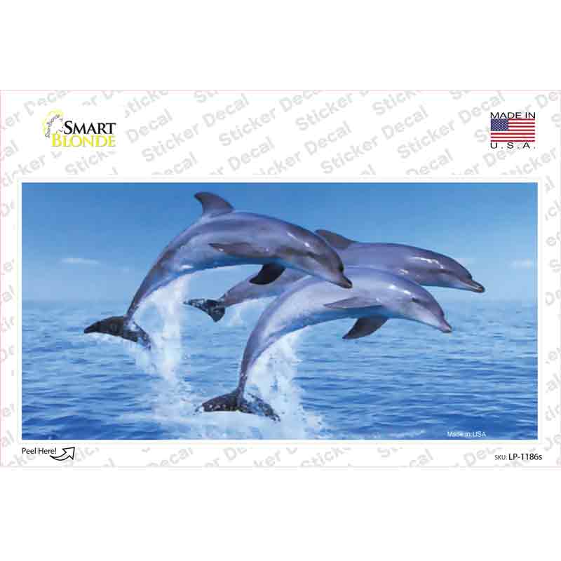 Dolphins Novelty Sticker Decal