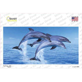Dolphins Novelty Sticker Decal
