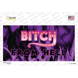 Bitch from Hell Novelty Sticker Decal