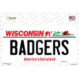 Badgers Wisconsin Novelty Sticker Decal