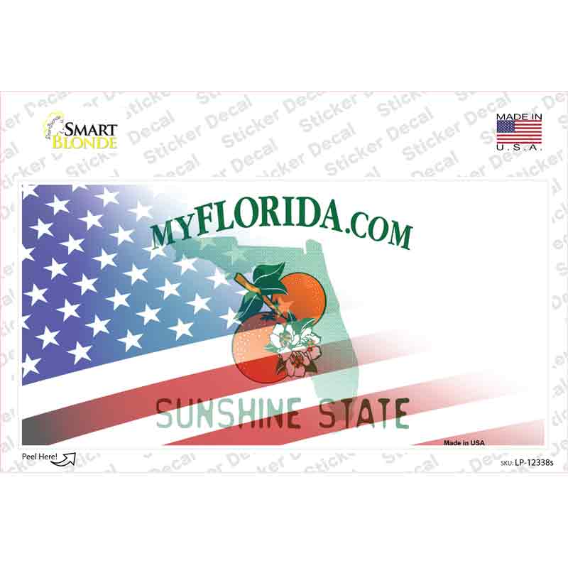 Florida with American Flag Novelty Sticker Decal
