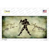 Aquarius Zodiac Novelty Sticker Decal