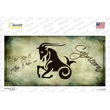 Capricorn Zodiac Novelty Sticker Decal