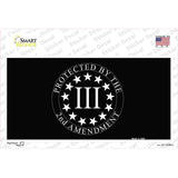 Protected by 2nd Amendment Novelty Sticker Decal