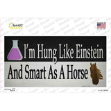 Hung Like Einstein Novelty Sticker Decal
